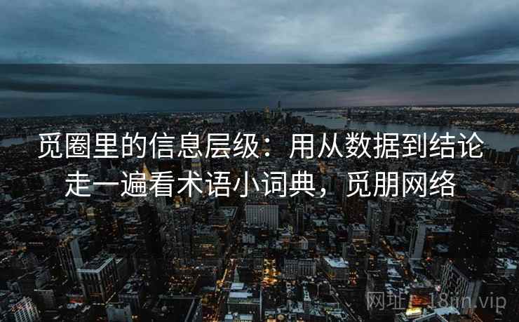 觅圈里的信息层级：用从数据到结论走一遍看术语小词典，觅朋网络